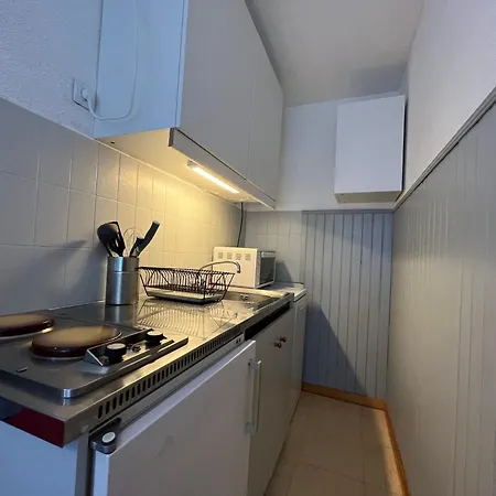 Apartment T2 A 200m De La Telecabine Avec Balcon Vue Montagnes - Fr-1-165a-82 Uvernet-Fours